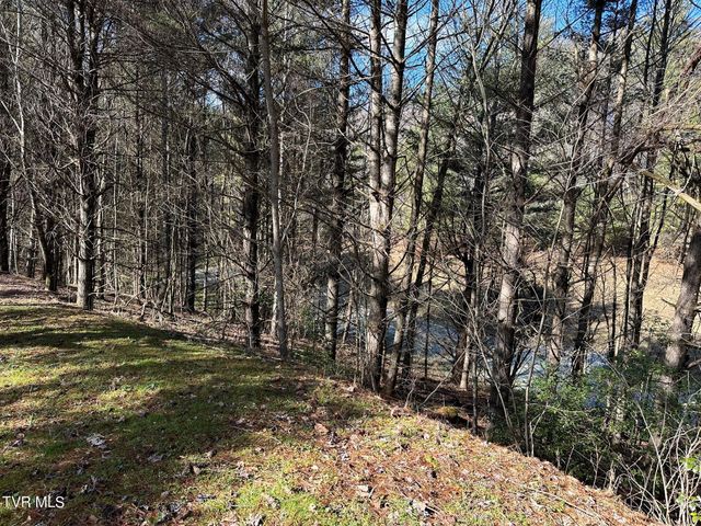 Tbd00 Laurelwood Drive, Mountain City, TN 37683