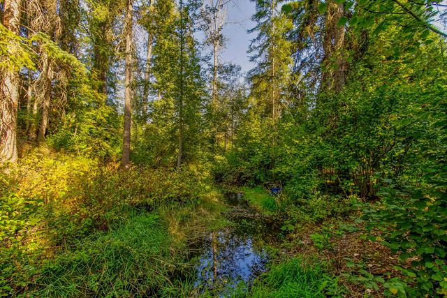 3829 Deep Lake Boundary Rd, Colville, WA 99114