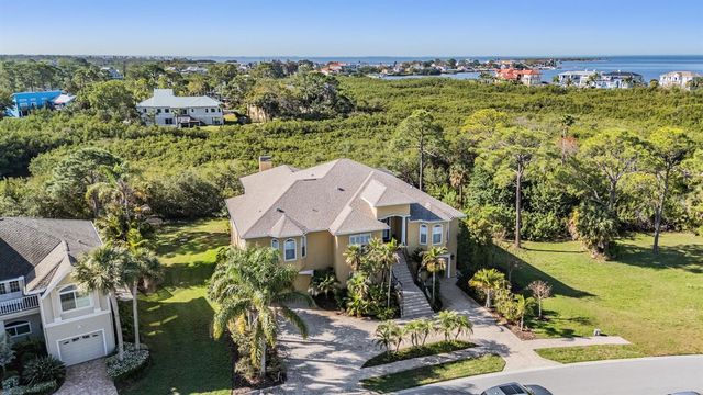2101 N POINTE ALEXIS DRIVE, Tarpon Springs, FL 34689