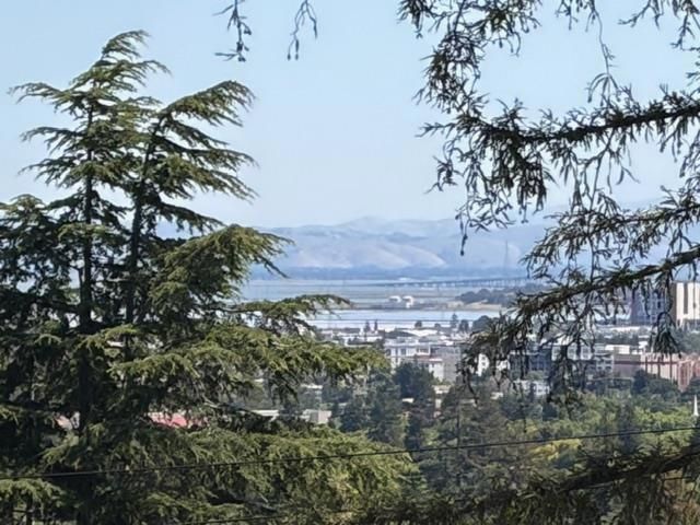 909 Hillcrest Drive, Redwood City, CA 94062