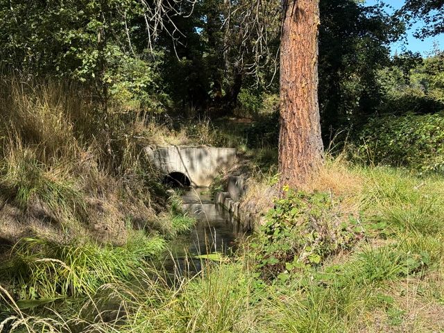 1225 Messinger Road, Grants Pass, OR 97527