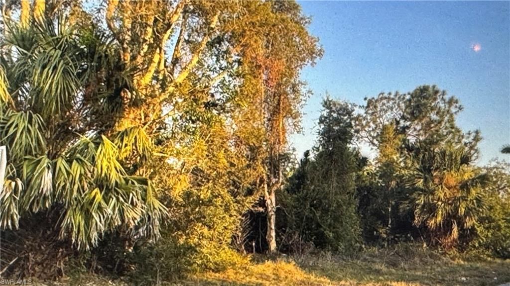 3515 27th ST SW, LEHIGH ACRES, FL 33976 — exterior