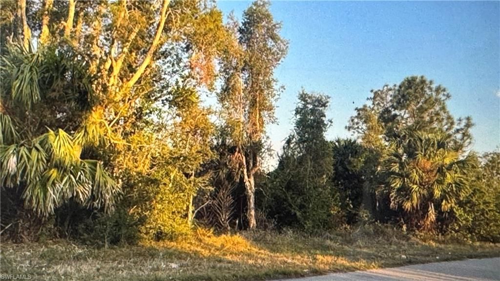 3515 27th ST SW, LEHIGH ACRES, FL 33976 — photo 2