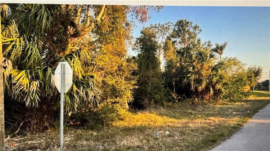 3515 27th ST SW, LEHIGH ACRES, FL 33976 — photo 3