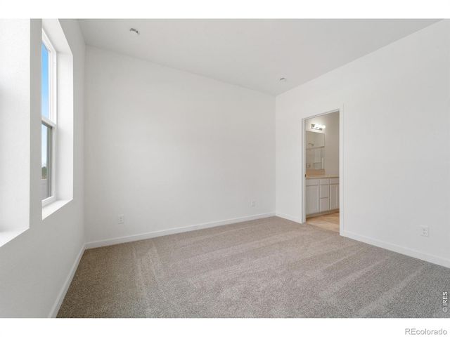 3916 Soapstone Street, Evans, CO 80620