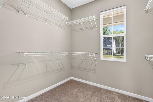 203 Stargaze Dr, Shepherdsville, KY 40165