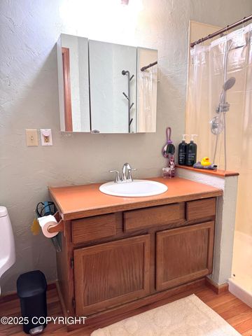 40351 Brenmark Road, Homer, AK 99603