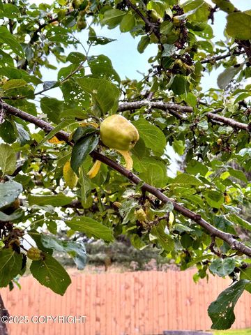 40351 Brenmark Road, Homer, AK 99603