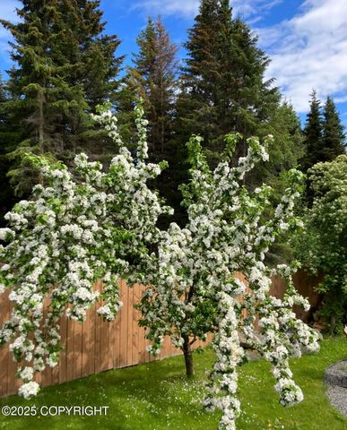 40351 Brenmark Road, Homer, AK 99603