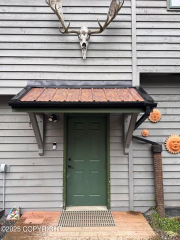 40351 Brenmark Road, Homer, AK 99603