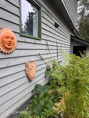 40351 Brenmark Road, Homer, AK 99603