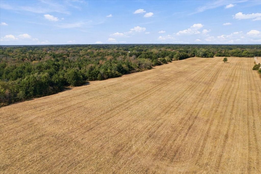 YBD Farm Road 273, Ivanhoe, TX 75447
