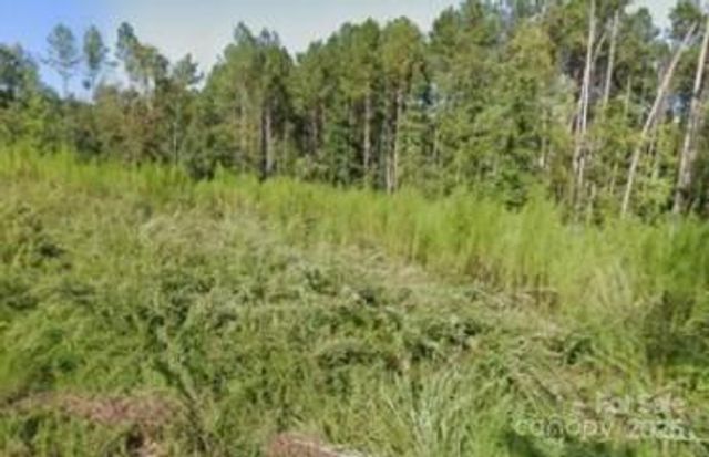 0 Gibson End, Fairfield, SC 29055