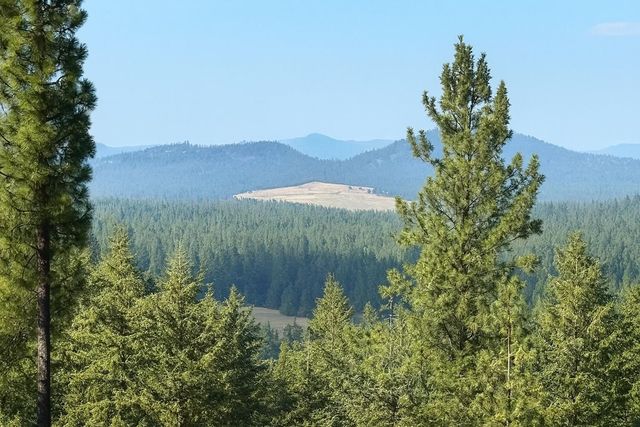 84XX Lodge Pole Ln, Chattaroy, WA 99003