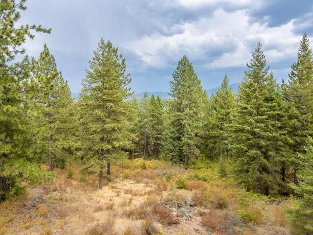 84XX Lodge Pole Ln, Chattaroy, WA 99003