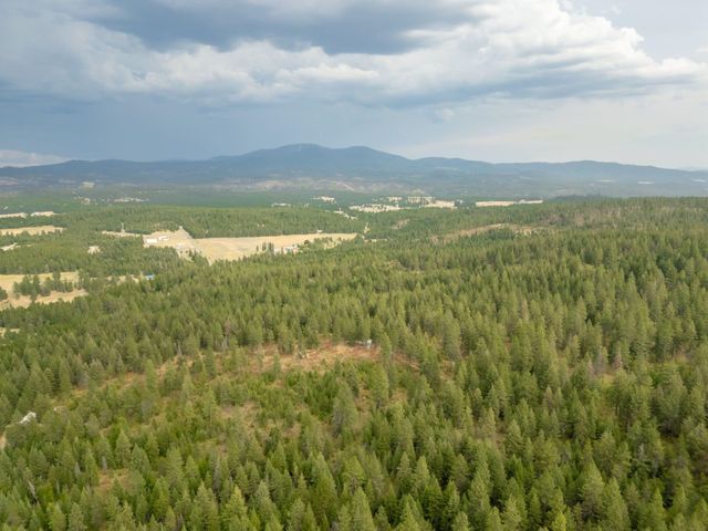 84XX Lodge Pole Ln, Chattaroy, WA 99003