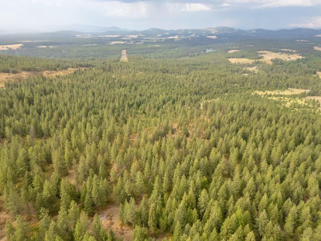 84XX Lodge Pole Ln, Chattaroy, WA 99003