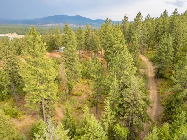 84XX Lodge Pole Ln, Chattaroy, WA 99003