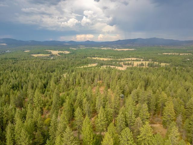 84XX Lodge Pole Ln, Chattaroy, WA 99003