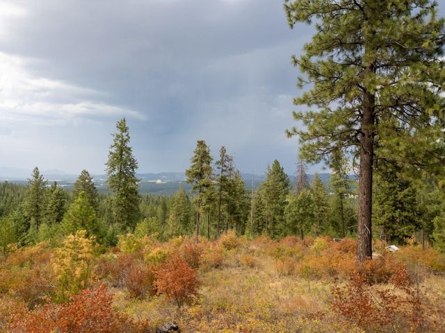 84XX Lodge Pole Ln, Chattaroy, WA 99003