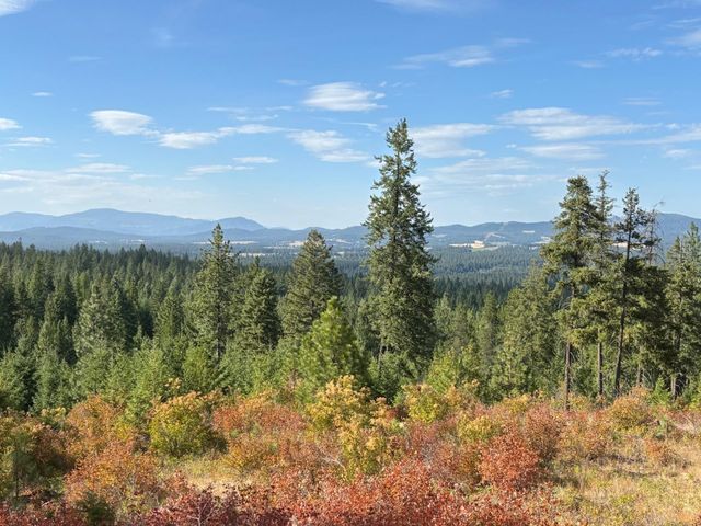 84XX Lodge Pole Ln, Chattaroy, WA 99003