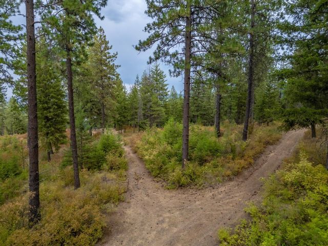 84XX Lodge Pole Ln, Chattaroy, WA 99003