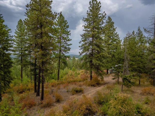 84XX Lodge Pole Ln, Chattaroy, WA 99003