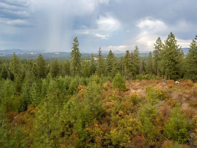 84XX Lodge Pole Ln, Chattaroy, WA 99003