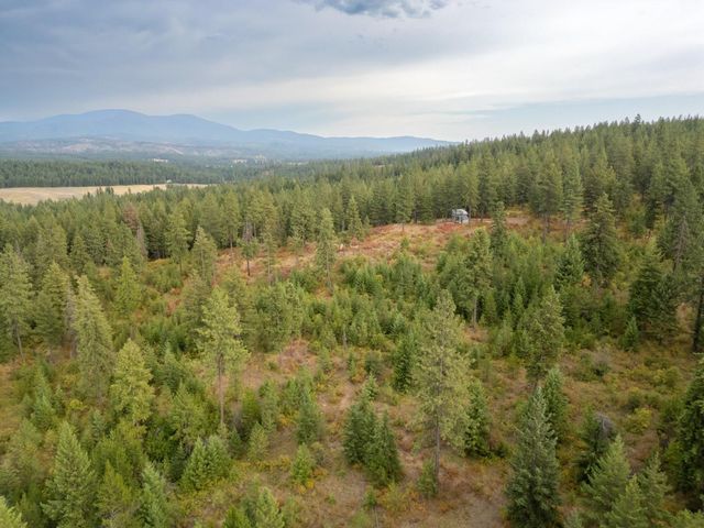 84XX Lodge Pole Ln, Chattaroy, WA 99003