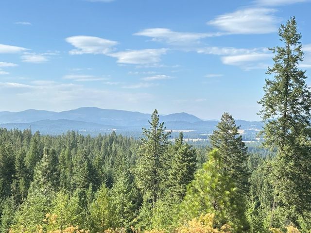 84XX Lodge Pole Ln, Chattaroy, WA 99003