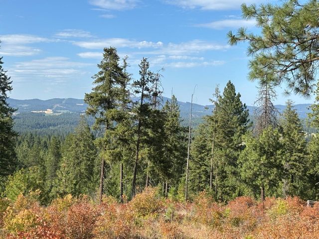 84XX Lodge Pole Ln, Chattaroy, WA 99003