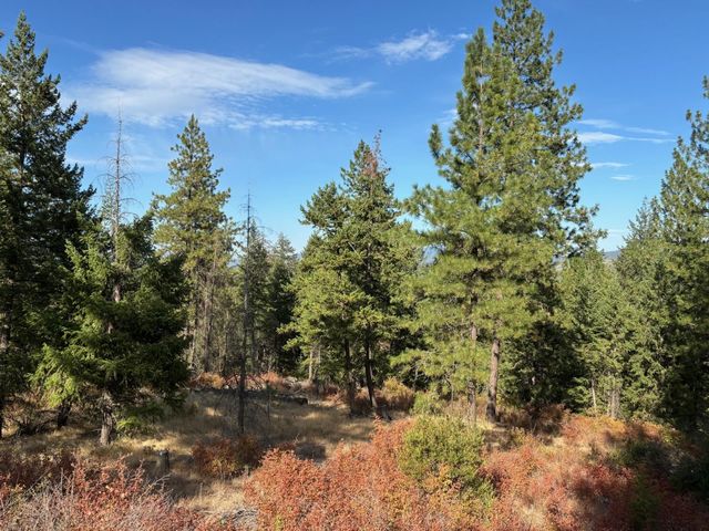 84XX Lodge Pole Ln, Chattaroy, WA 99003