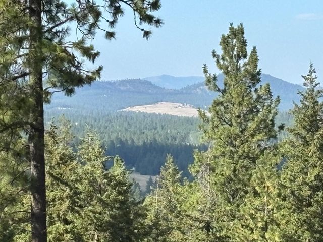 84XX Lodge Pole Ln, Chattaroy, WA 99003