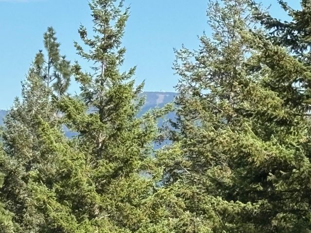 84XX Lodge Pole Ln, Chattaroy, WA 99003