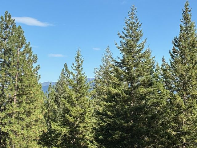 84XX Lodge Pole Ln, Chattaroy, WA 99003