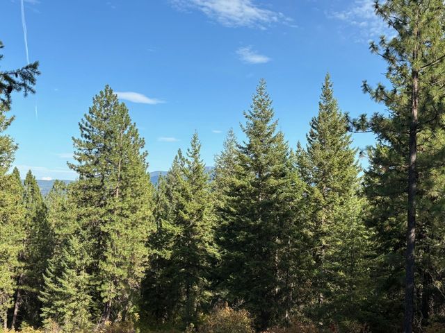 84XX Lodge Pole Ln, Chattaroy, WA 99003