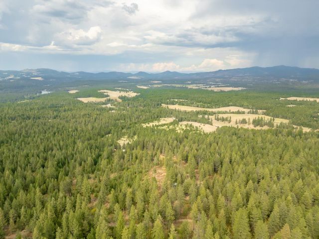 84XX Lodge Pole Ln, Chattaroy, WA 99003