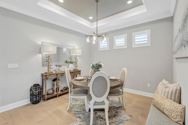 3113 TOLMINO COURT, Lakewood Ranch, FL 34211