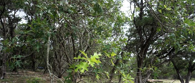 850 Days End RD, Wimberley, TX 78676