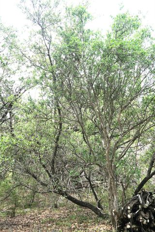 850 Days End RD, Wimberley, TX 78676