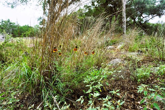 850 Days End RD, Wimberley, TX 78676