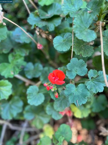 1312 Canyon Side Avenue, San Ramon, CA 94582