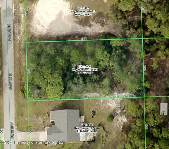 Lot 8 Nuzum Road, Weeki Wachee, FL 34613