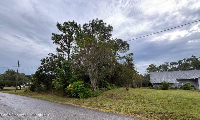 Lot 8 Nuzum Road, Weeki Wachee, FL 34613
