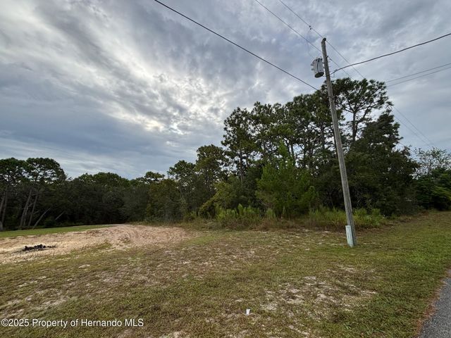 Lot 8 Nuzum Road, Weeki Wachee, FL 34613
