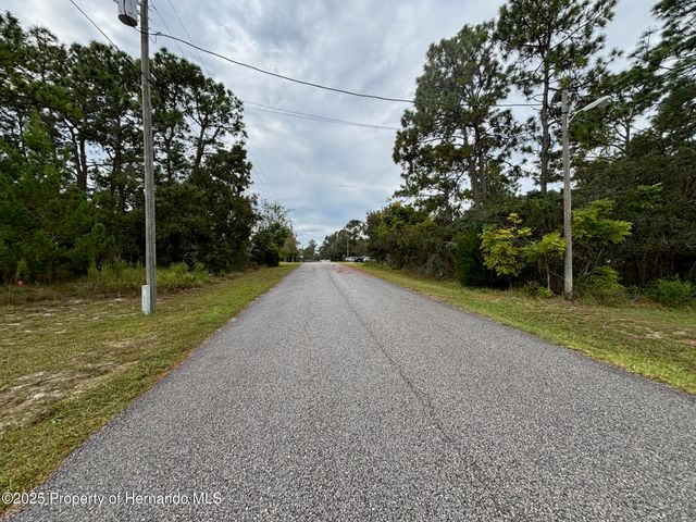 Lot 8 Nuzum Road, Weeki Wachee, FL 34613