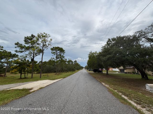 Lot 8 Nuzum Road, Weeki Wachee, FL 34613
