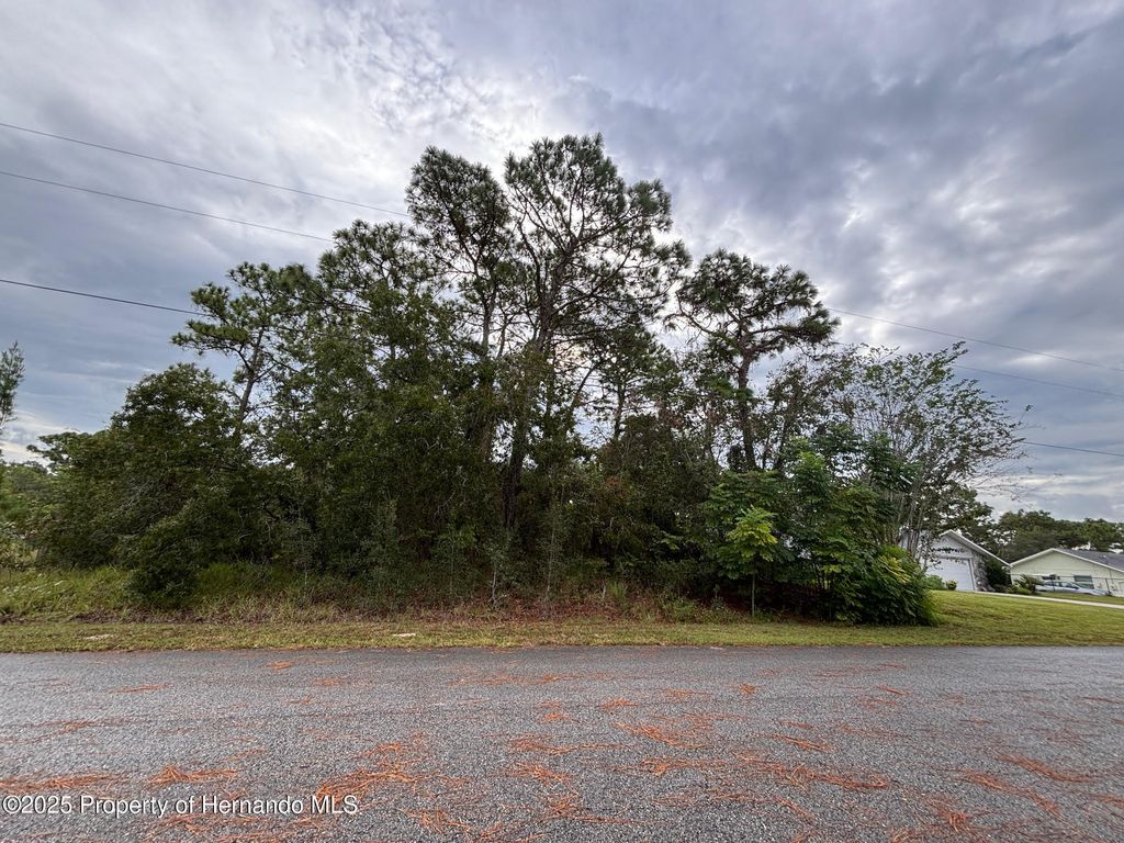 Lot 8 Nuzum Road, Weeki Wachee, FL 34613