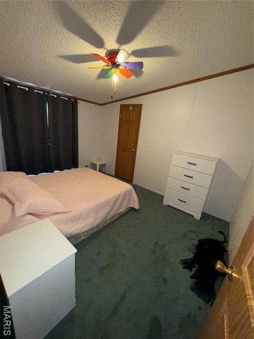 50131 Highway 49, Annapolis, MO 63620