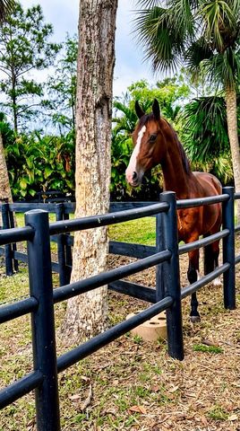 17225 Mare Lane, The Acreage, FL 33470